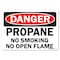 Signmission OSHA Danger Sign, 10" Height, 14" Width, Aluminum, Propane No Smoking No Open Flames, Landscape OS-DS-A-1014-L-19467 - alternate 1